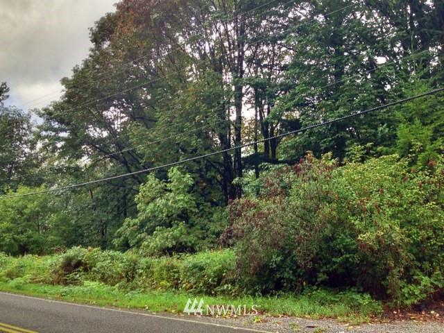 Index-galena Rd Sultan Wa 98294 Road Index, WA 98256 - Photo 1 of 1
