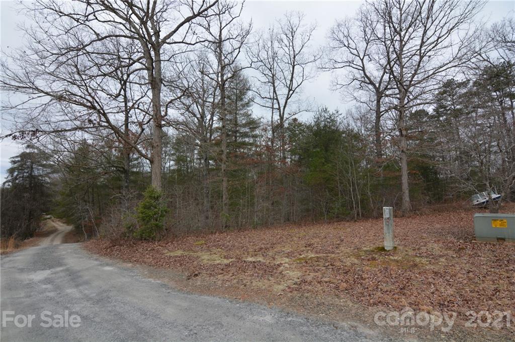 0 Mole Hill Road Murphy, NC 28906 - Photo 1 of 9