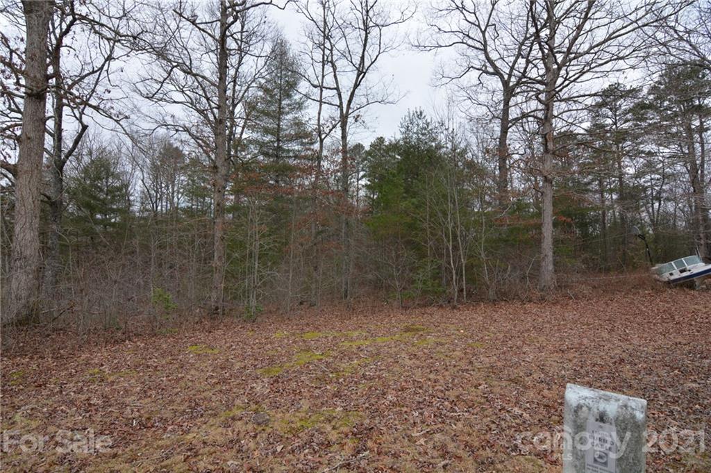 0 Mole Hill Road Murphy, NC 28906 - Photo 2 of 9