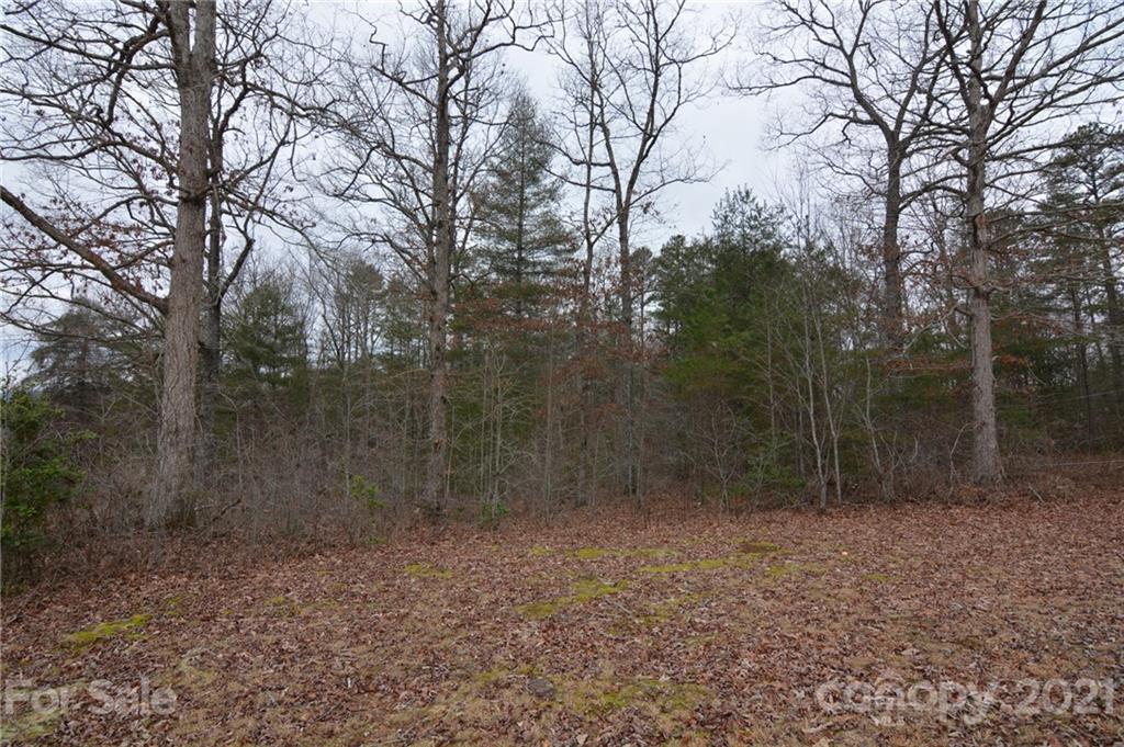 0 Mole Hill Road Murphy, NC 28906 - Photo 3 of 9