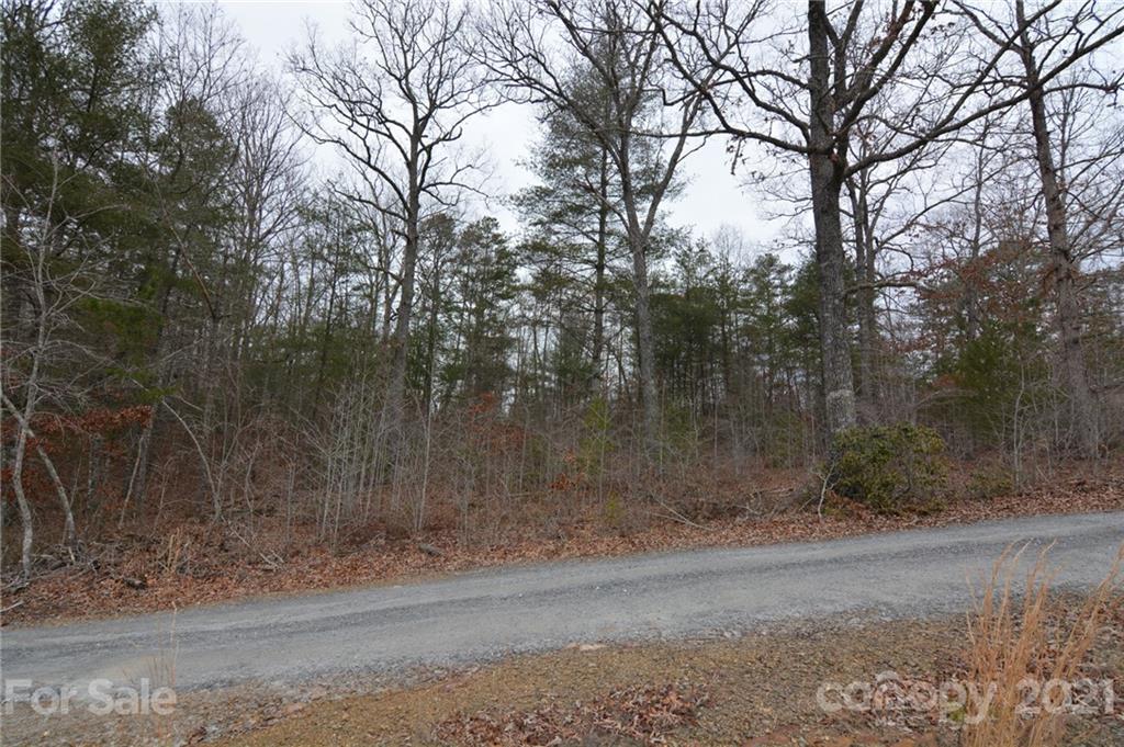 0 Mole Hill Road Murphy, NC 28906 - Photo 4 of 9