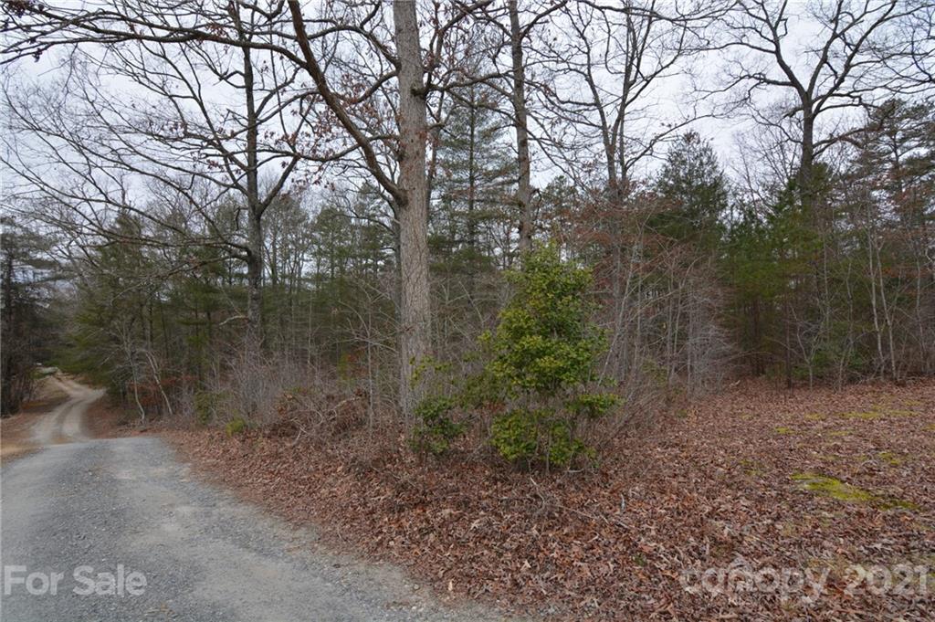 0 Mole Hill Road Murphy, NC 28906 - Photo 5 of 9