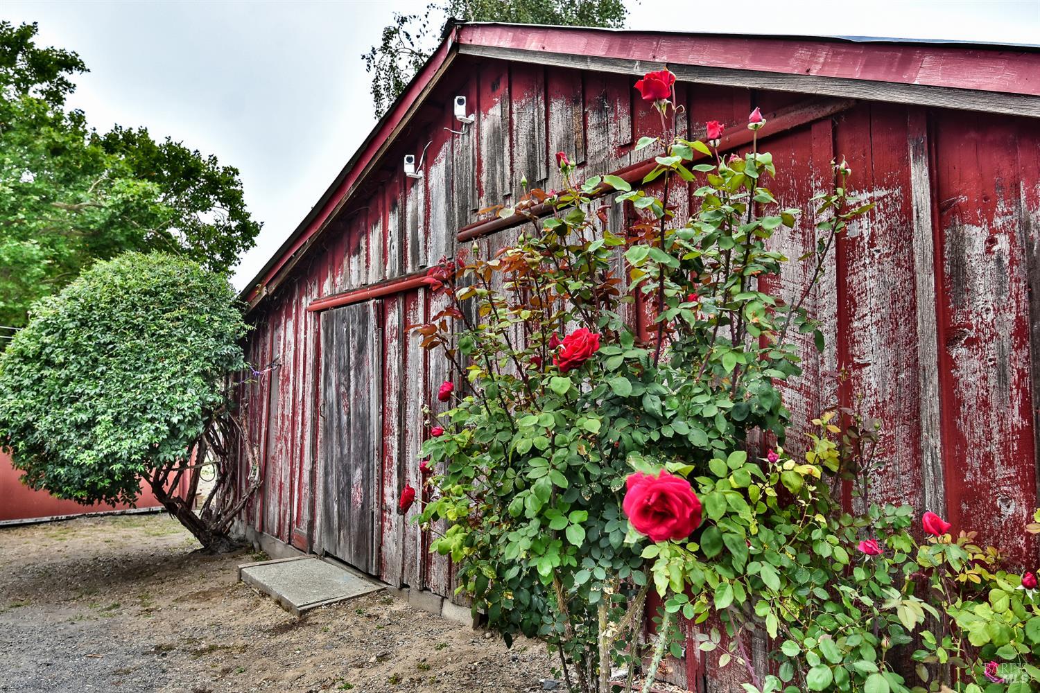 704 Bloomfield Road Sebastopol, CA 95472 - Photo 28 of 47