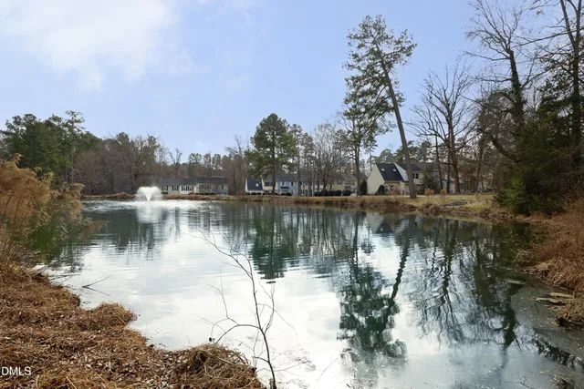 a body of water with a tree in the background