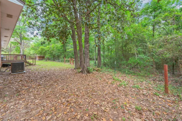 a view of a yard with trees