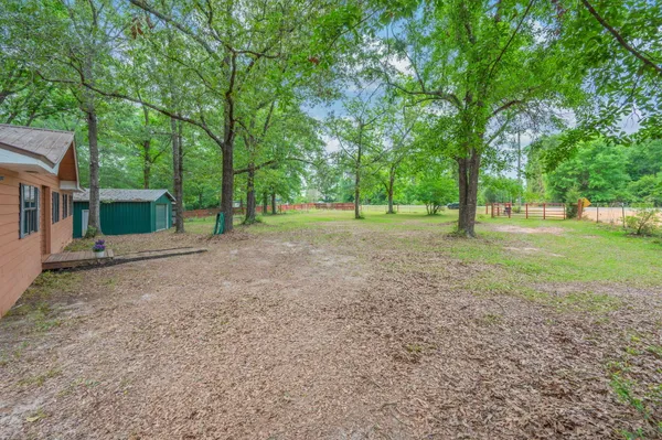 a view of a yard with tree s