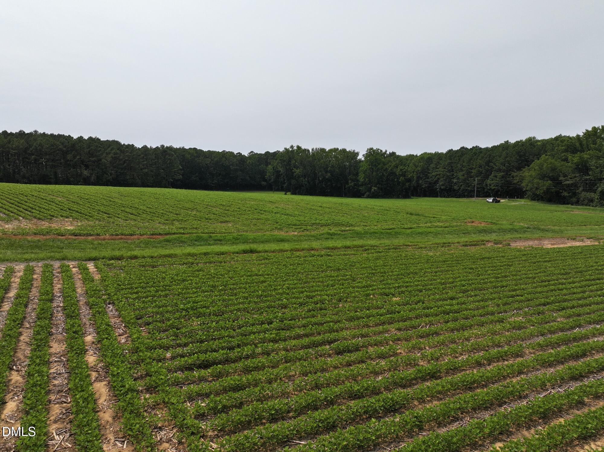 Lot 2 Claude Lewis Road Bailey, NC 27807 - Photo 16 of 18 dji_fly_20260715_141124_0307_17841495171