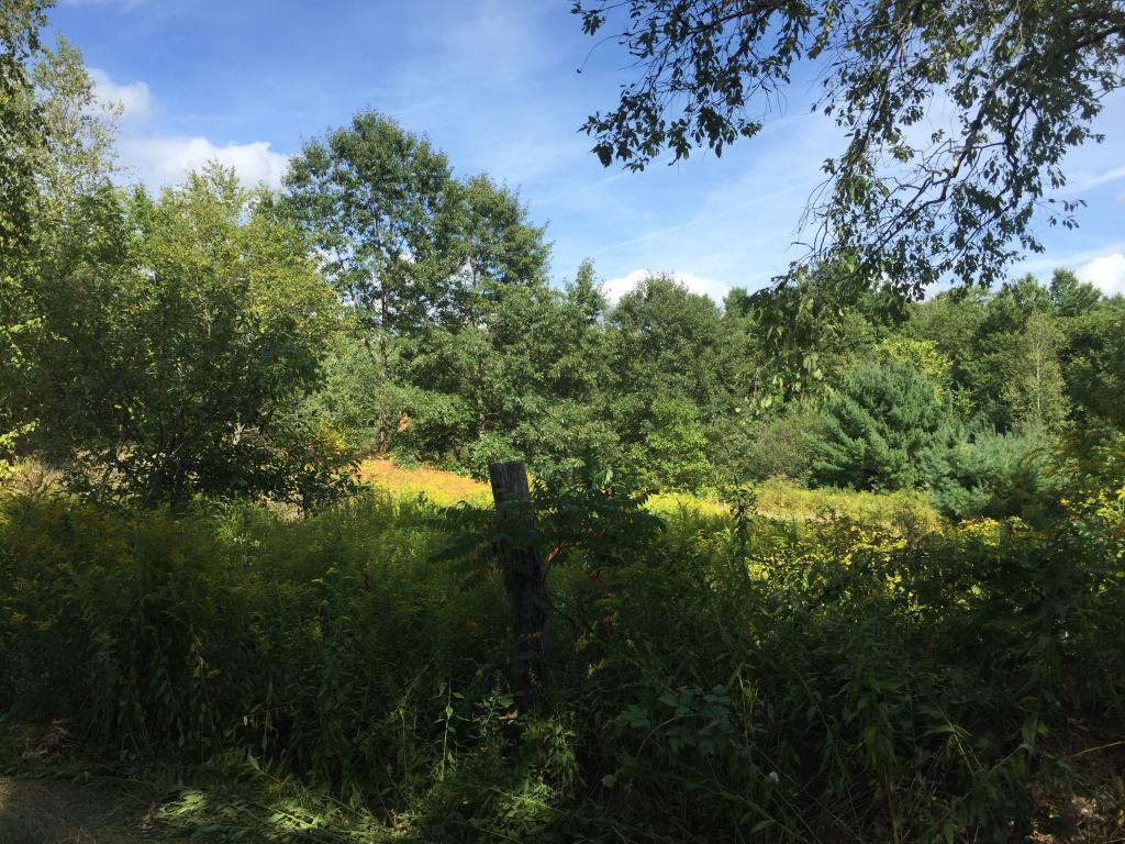 101 Sandown Road Chester, NH 03036 - Photo 2 of 7