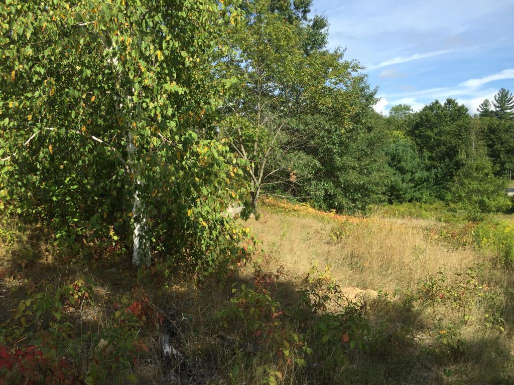 101 Sandown Road Chester, NH 03036 - Photo 3 of 7