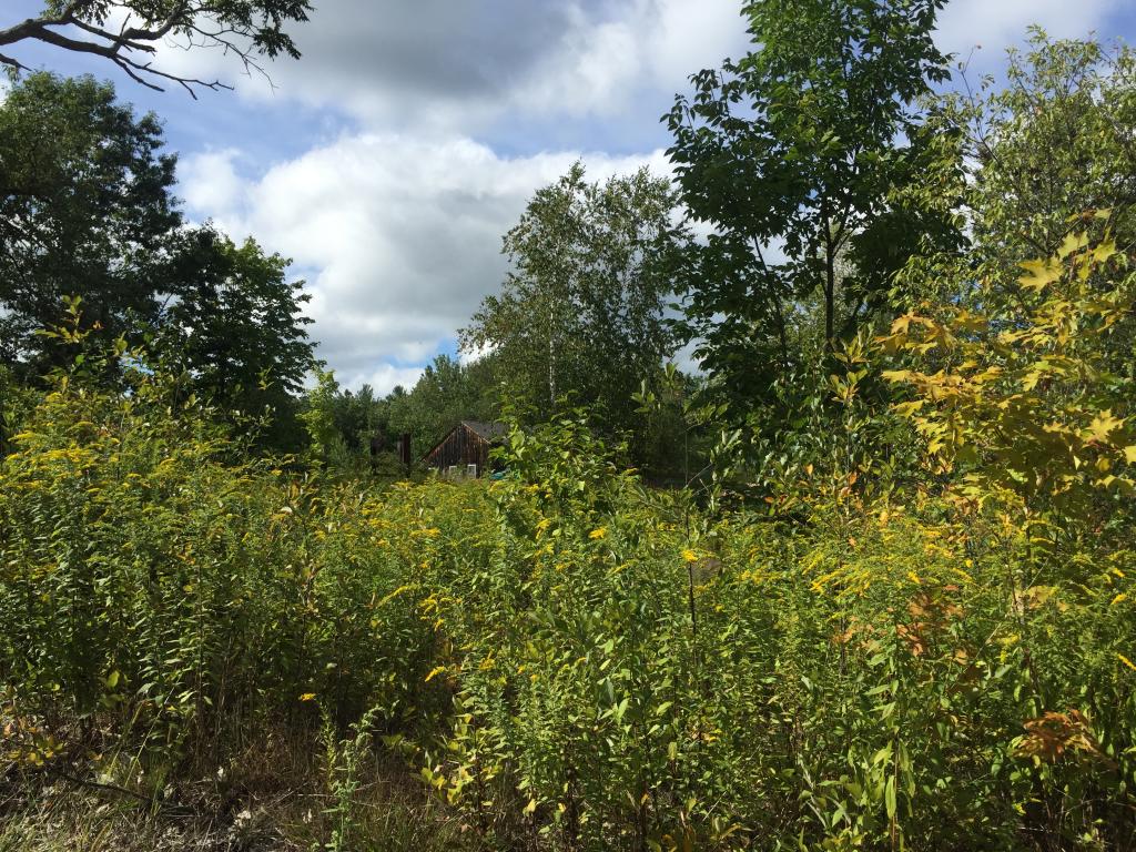 101 Sandown Road Chester, NH 03036 - Photo 4 of 7