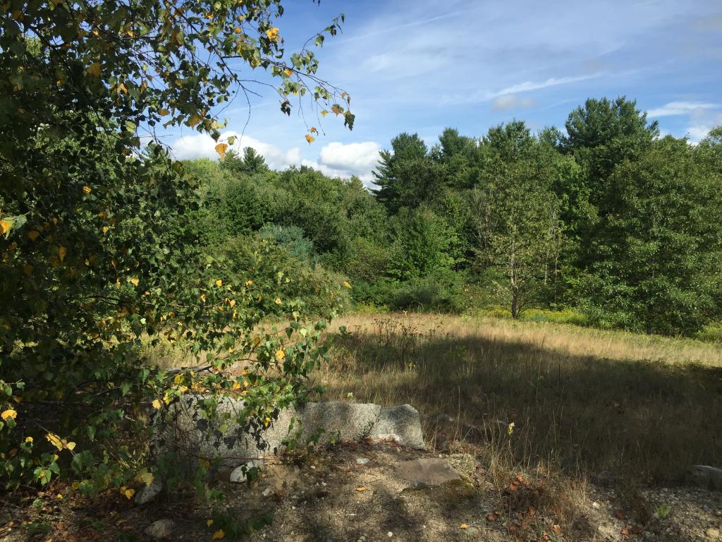 101 Sandown Road Chester, NH 03036 - Photo 5 of 7