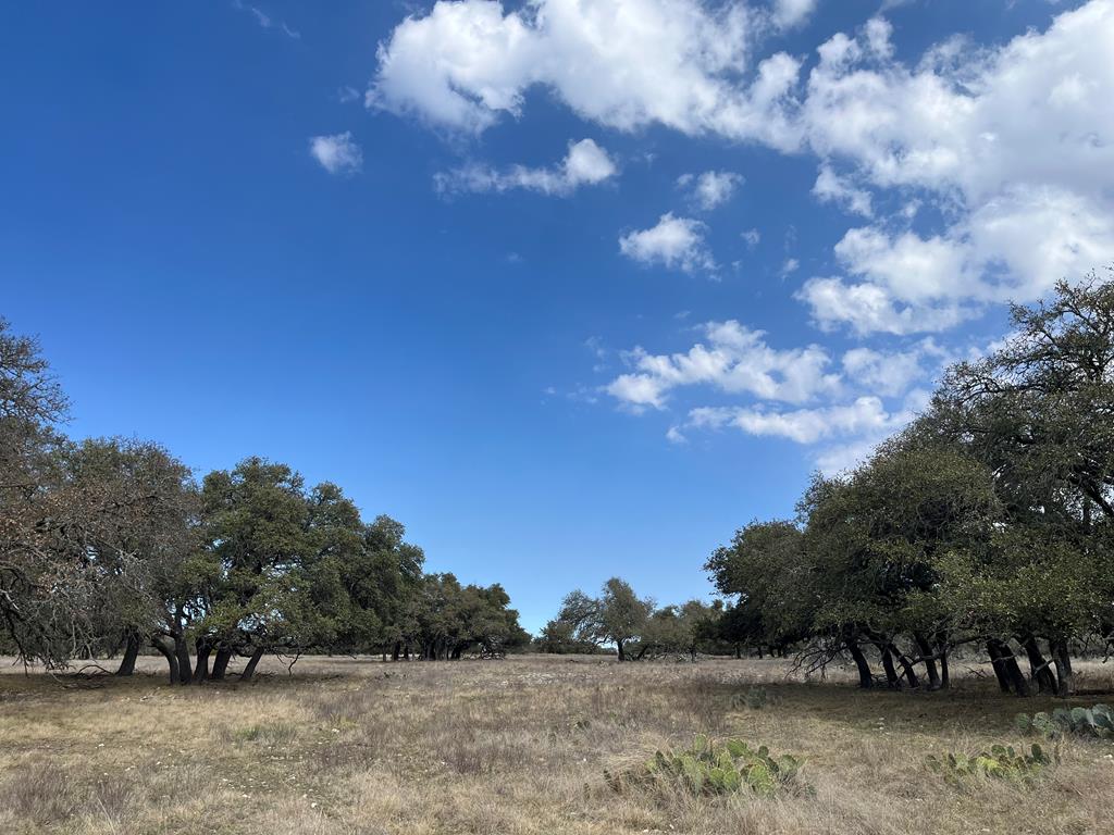 171 Crooked Tree Circle, Unit 13 Harper, TX 78631 - Photo 1 of 11 Main View