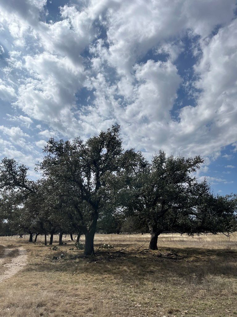 171 Crooked Tree Circle, Unit 13 Harper, TX 78631 - Photo 4 of 11