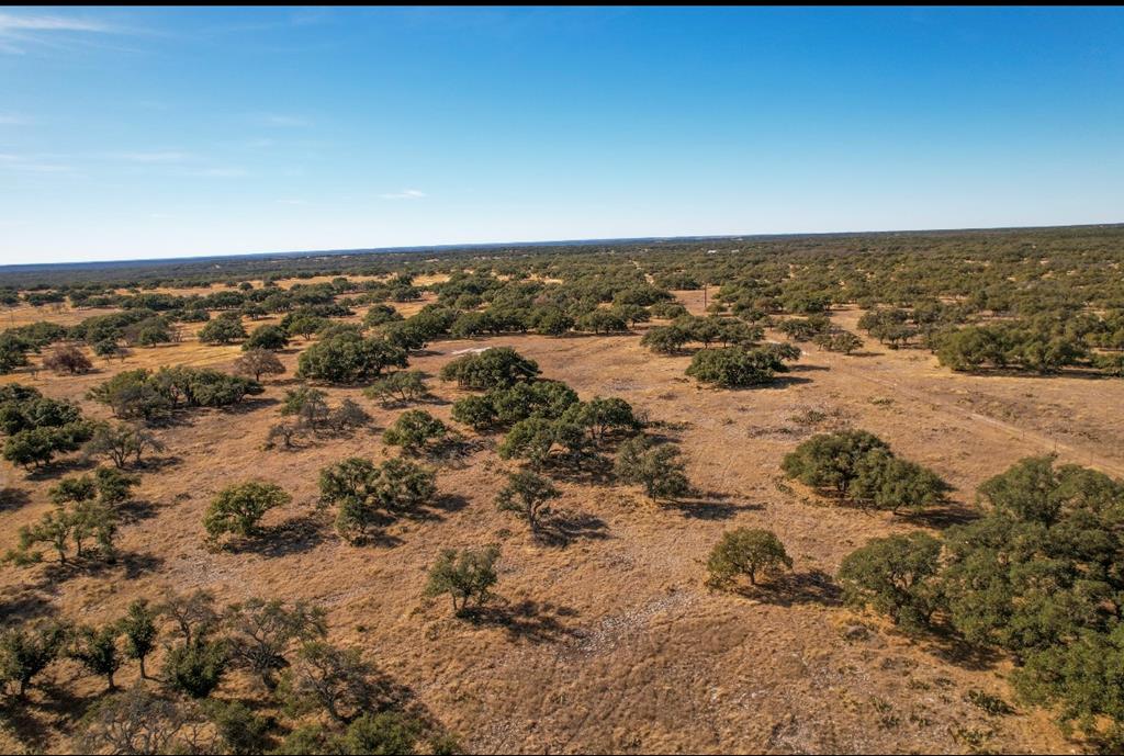 171 Crooked Tree Circle, Unit 13 Harper, TX 78631 - Photo 6 of 11