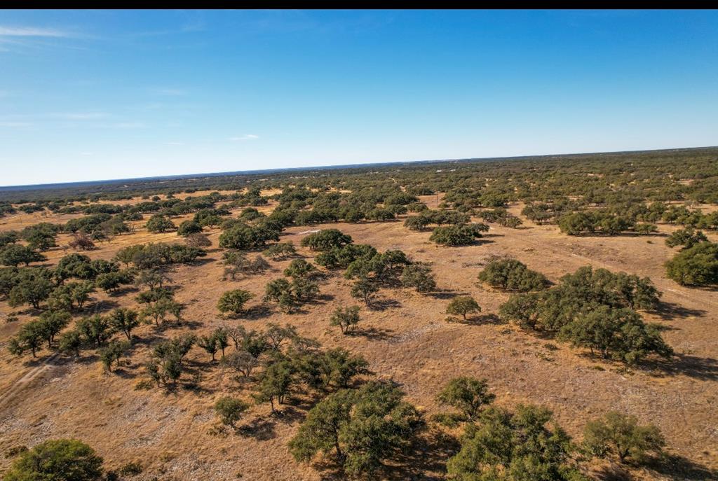 171 Crooked Tree Circle, Unit 13 Harper, TX 78631 - Photo 7 of 11