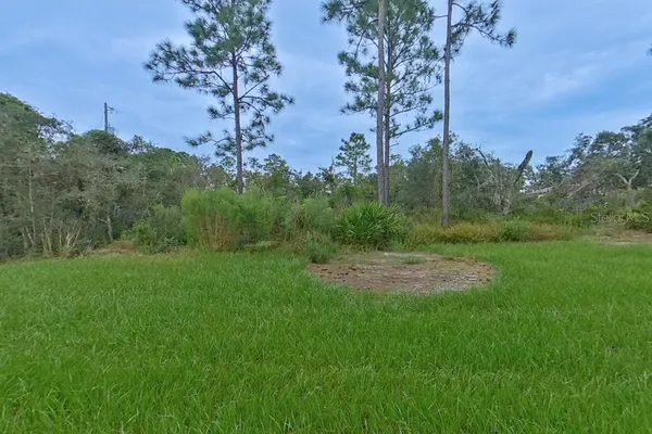 a view of a yard with an trees