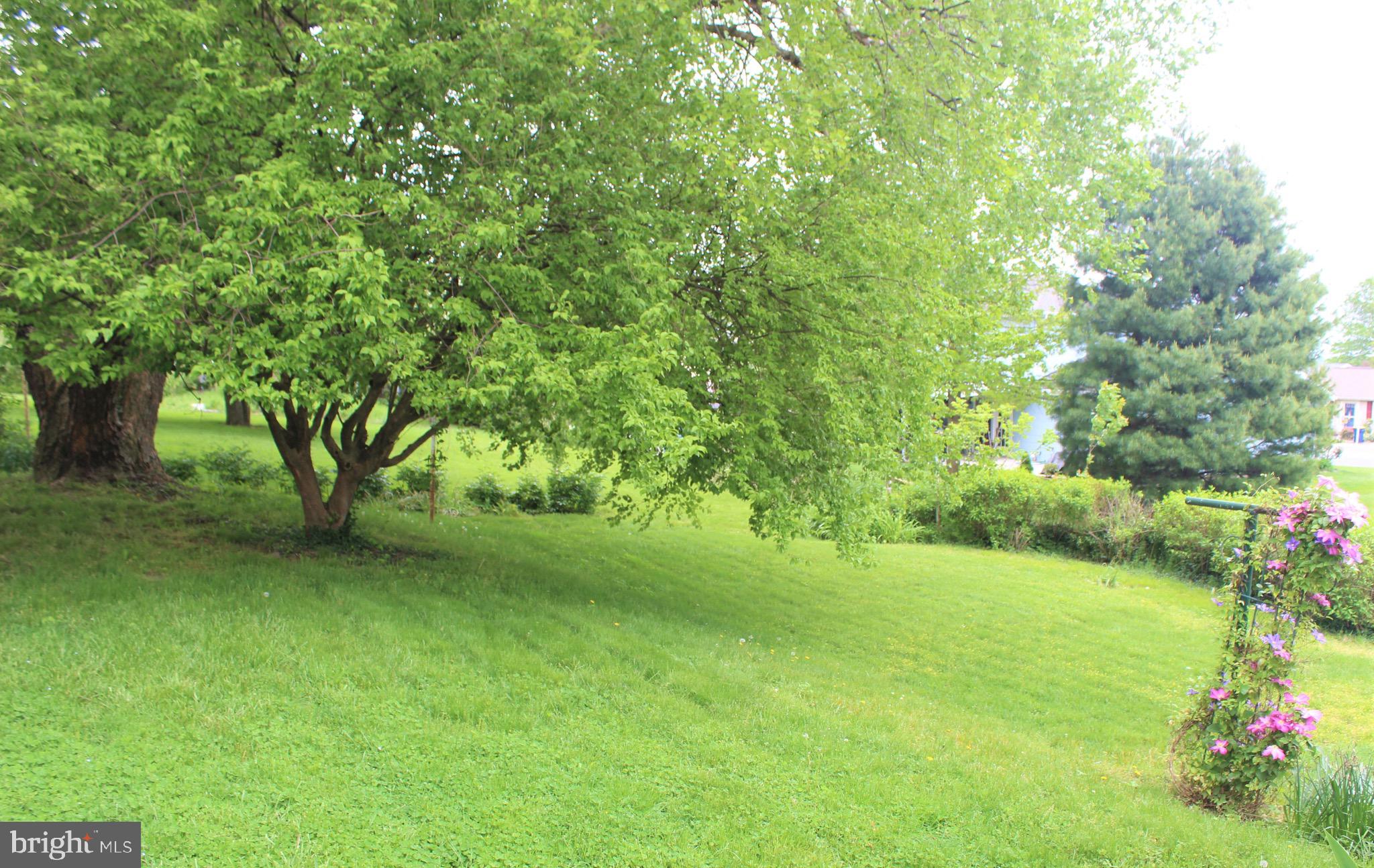 2160 Rosedale Avenue Middletown, PA 17057 - Photo 20 of 20 Gallery Image 20