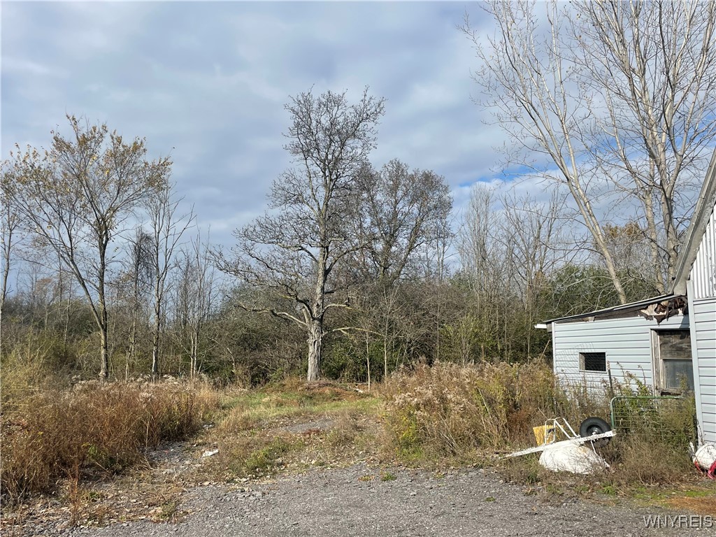 6721 Aiken Road Pendleton, NY 14094 - Photo 12 of 24