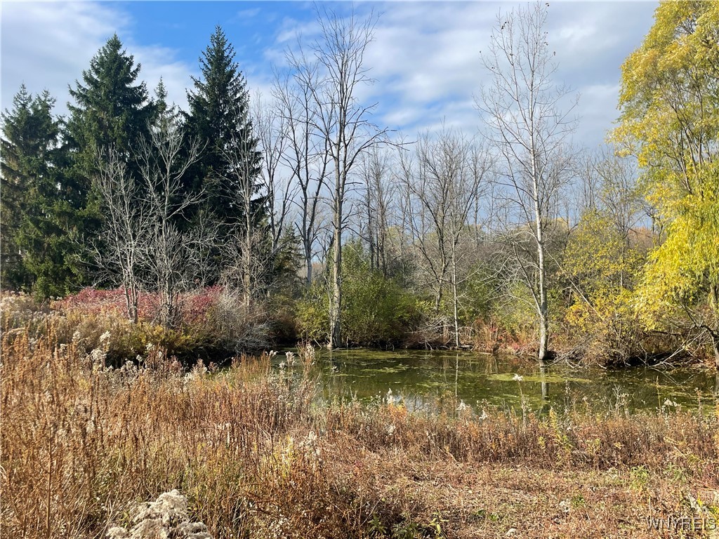 6721 Aiken Road Pendleton, NY 14094 - Photo 17 of 24