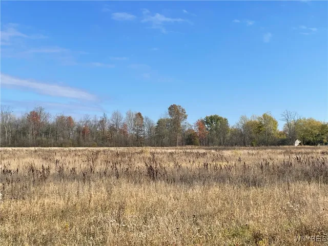$2,000,000 | V/l Aiken Road, Lockport, NY 14094