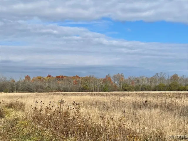 $2,000,000 | V/l Aiken Road, Lockport, NY 14094