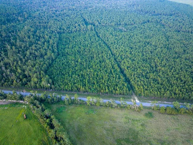 a view of a field with a tree