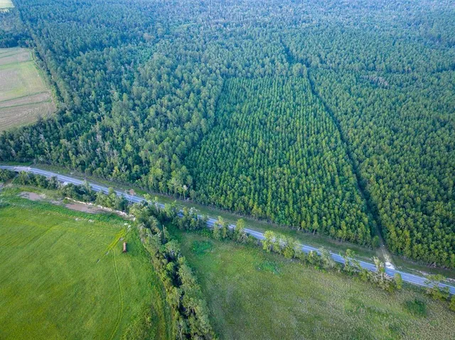 a view of a green field with lots of bushes
