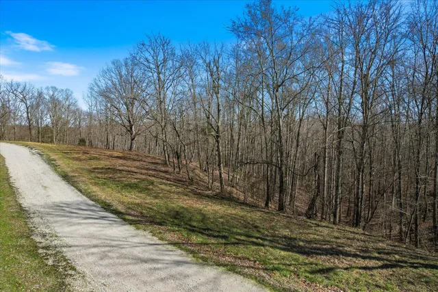 a view of a swimming pool with a lake view and mountain in the back