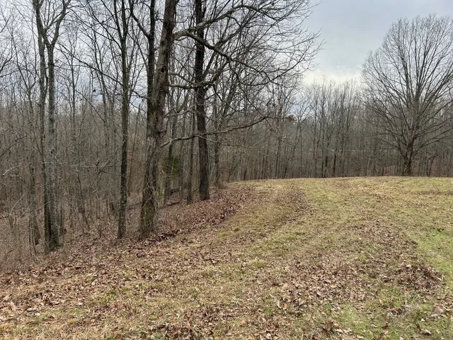 a view of outdoor space