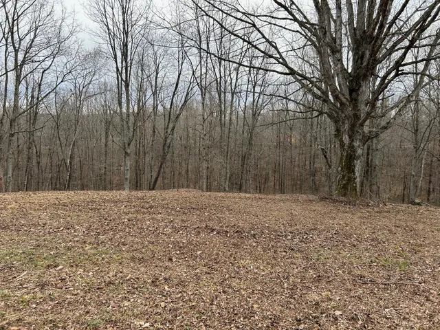 a pathway of a house with a yard