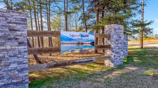 a street view with large trees