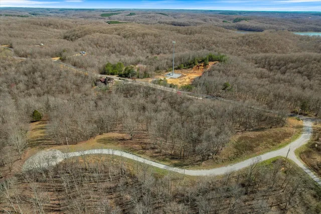 a view of a lake with a mountain in the background