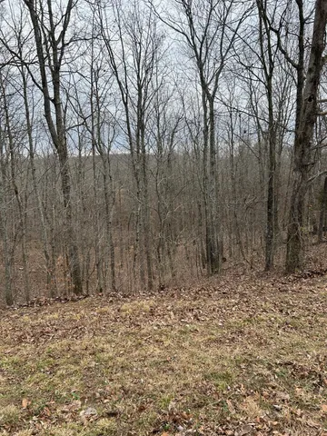 a view of wooden fence