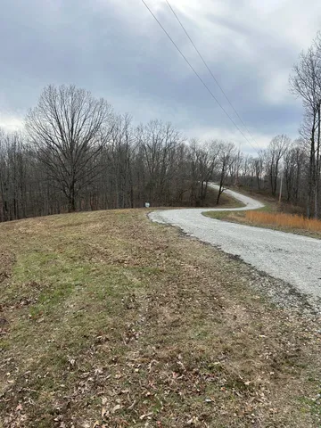 a view of backyard with green space