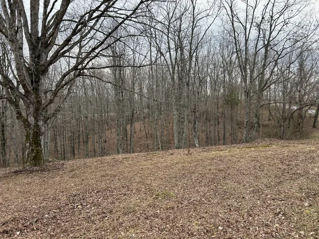 a backyard of a house with trees