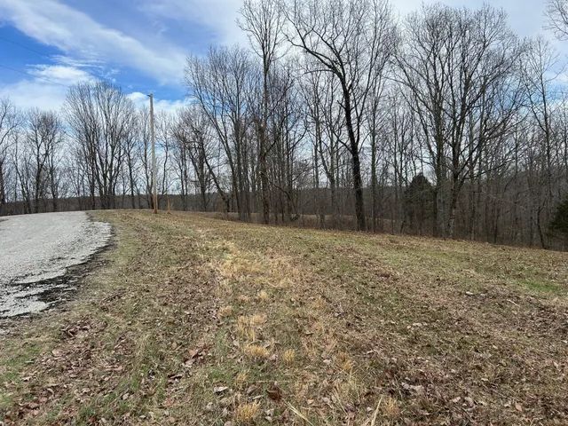 a view of a yard with trees