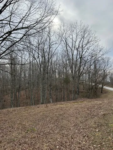a backyard of a house with large trees