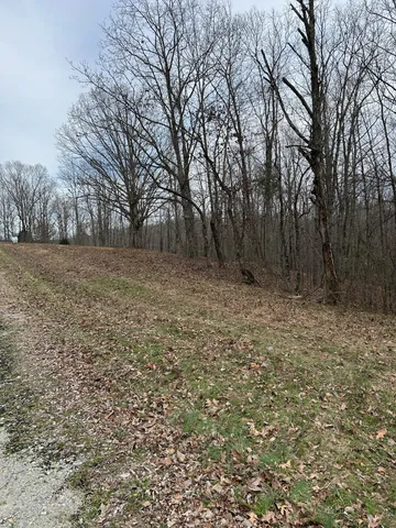 a view of backyard with wooden fence