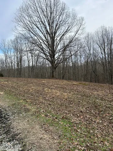 a view of wooden fence