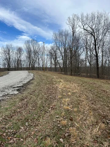 a wooden bench with trees in the background