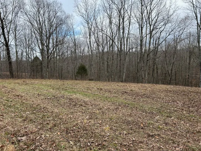 a view of a lake with trees