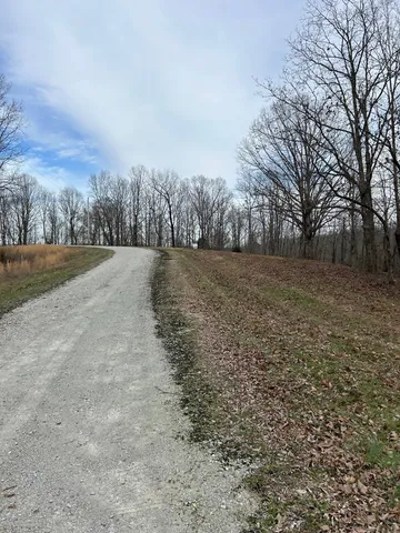 a view of a backyard of trees