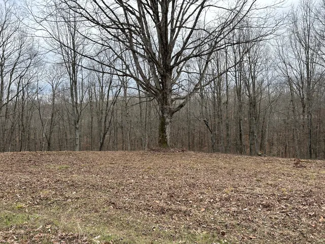 a backyard of a house