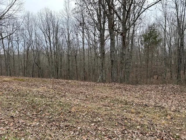 $33,000 | 0 Tug Drive, Waverly, TN 37185