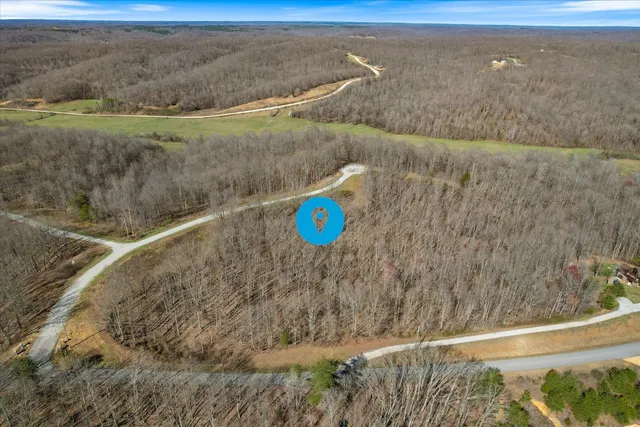 a view of outdoor space