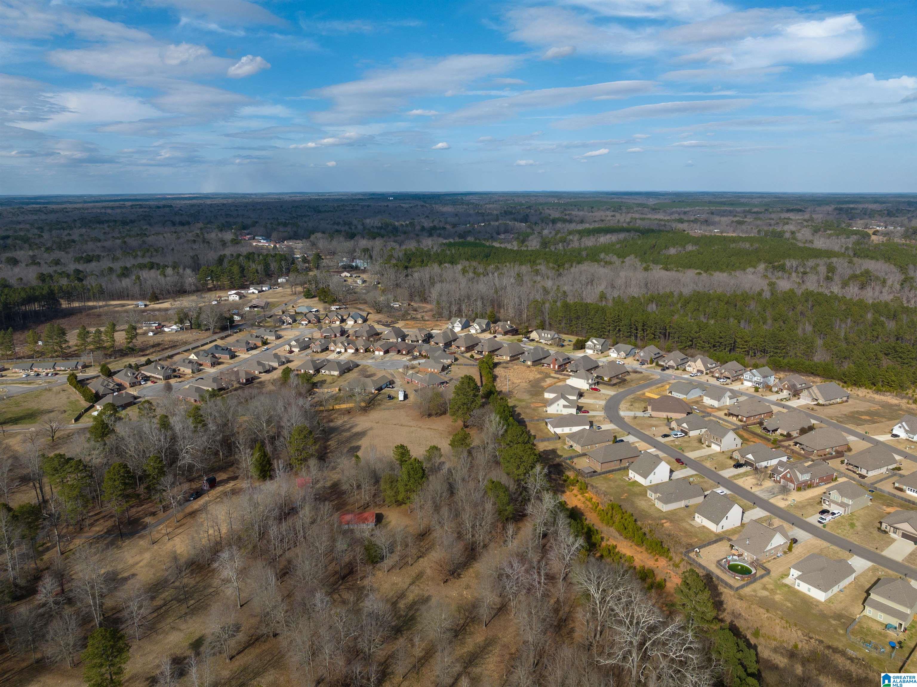 72 Christy Lane Jasper, AL 35504 - Photo 35 of 41