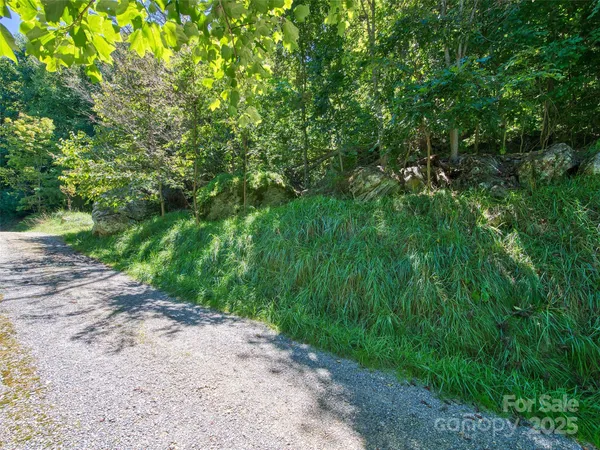 $75,000 | 0 Yellow Locust Drive, Waynesville, NC 28786