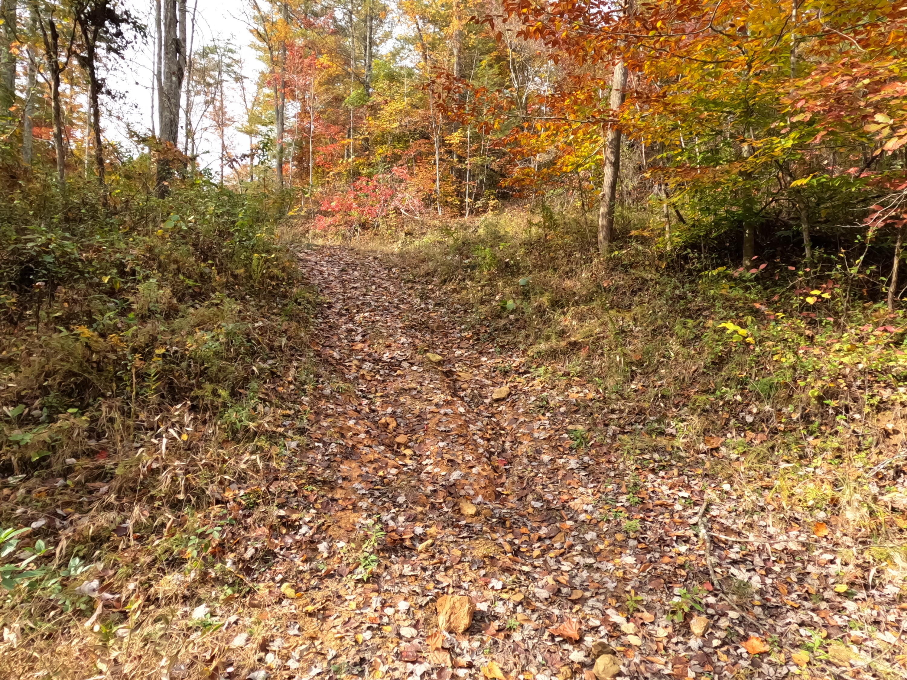 1 Ellen Drake Road Campton, KY 41301 - Photo 24 of 24 GOPR0206