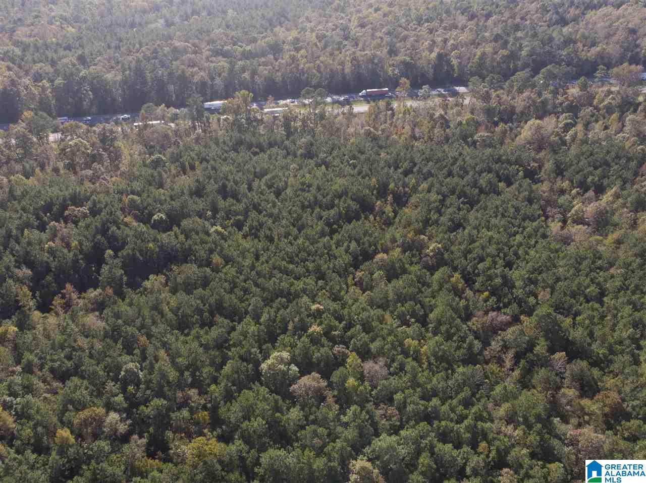 245 County Road Clanton, AL 35045 - Photo 1 of 1