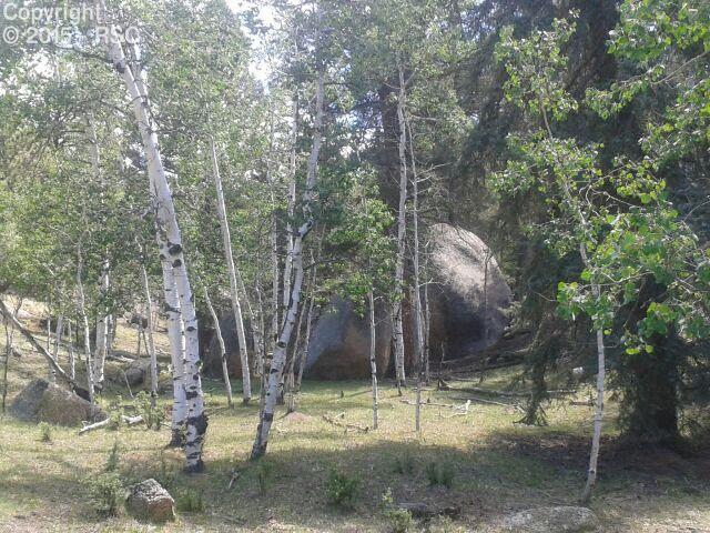 826 Charming View Divide, CO 80814 - Photo 11 of 15